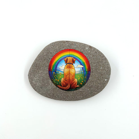 Rainbow Labrador Yellow Pebble